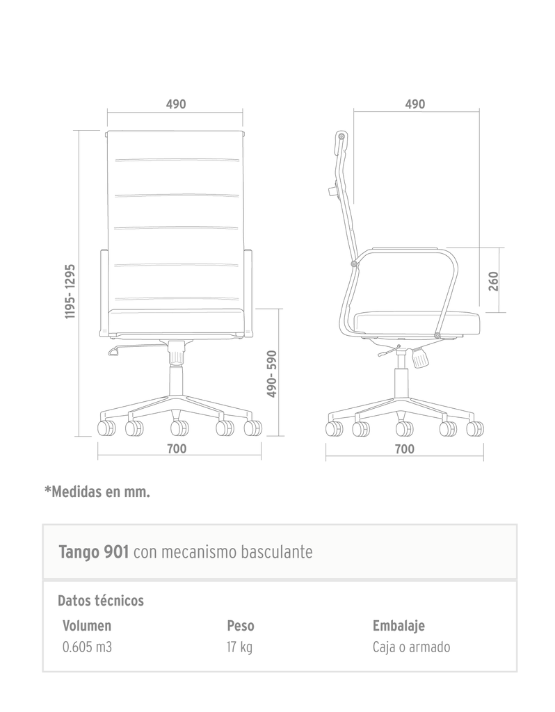 Portantino oficial - TANGO-Ficha-tecnica-resumen-_901.png