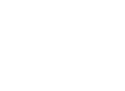 Tizoni
